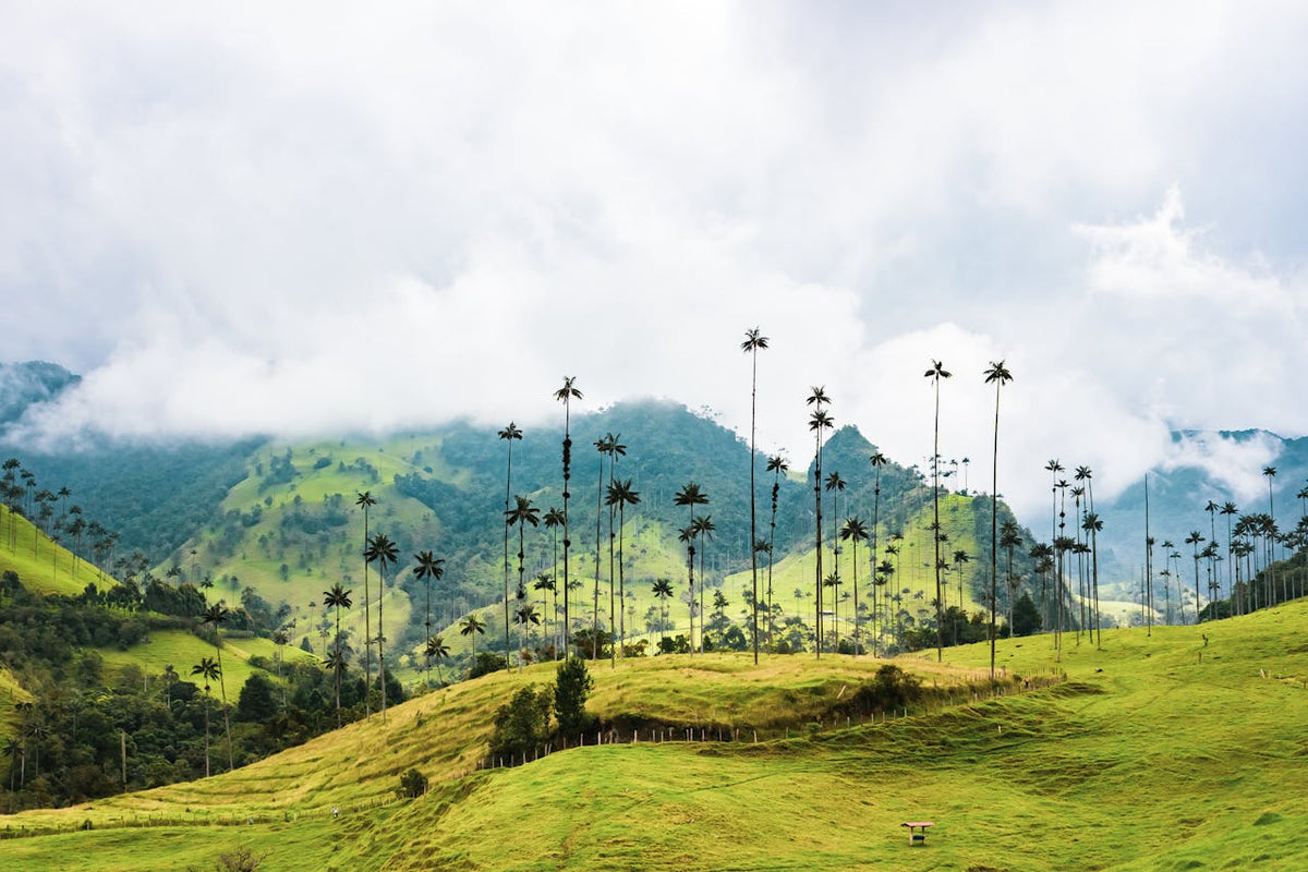 voyage-en-colombie