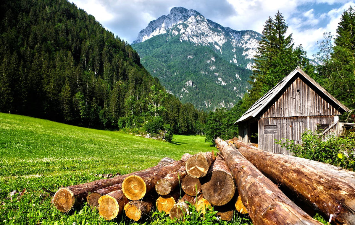 visiter-les-alpes