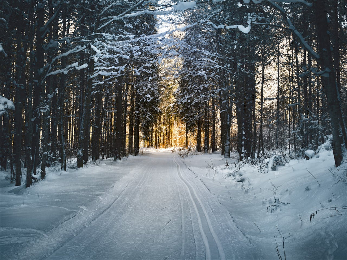 3-destinations-pour-cet-hiver